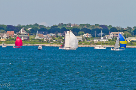 Enlarge photo 527