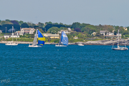 Enlarge photo 528