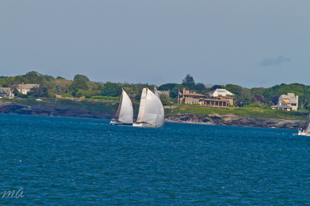 Enlarge photo 532