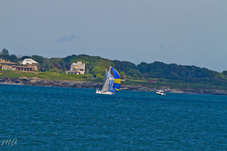 Enlarge photo 533