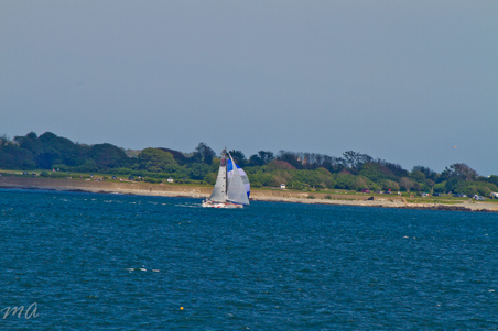 Enlarge photo 534