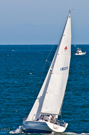 Enlarge photo 535