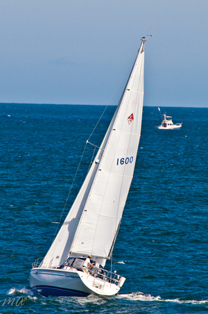 Enlarge photo 536