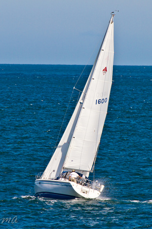 Enlarge photo 537