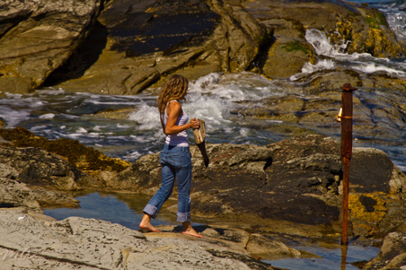 Enlarge photo 538