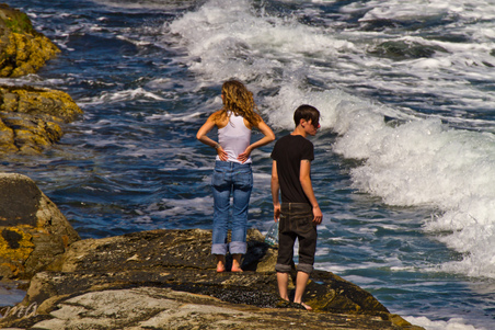 Enlarge photo 551
