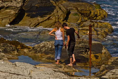 Enlarge photo 553