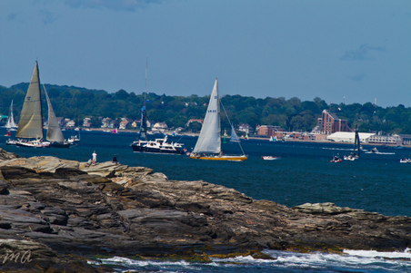 Enlarge photo 560