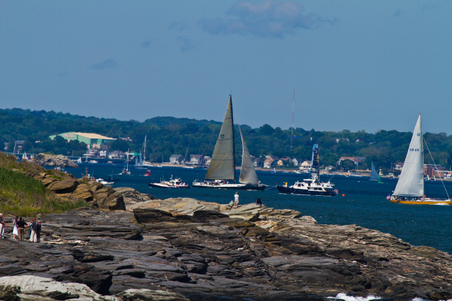 Enlarge photo 561