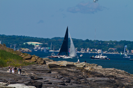 Enlarge photo 564