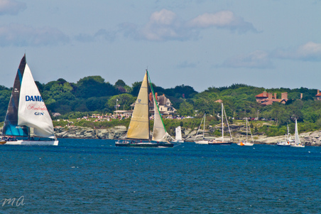 Enlarge photo 577