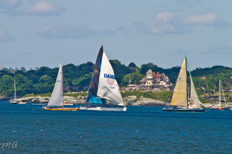 Enlarge photo 579