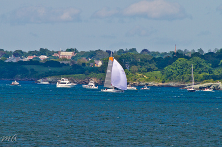 Enlarge photo 580