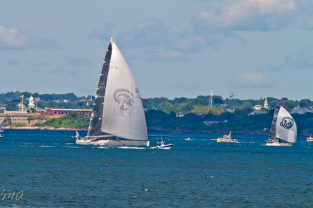 Enlarge photo 581