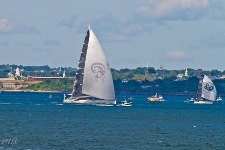 Enlarge photo 582