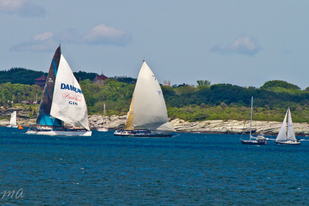 Enlarge photo 583