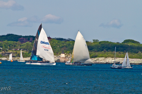 Enlarge photo 584