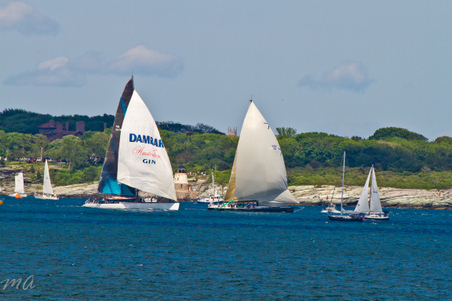 Enlarge photo 585
