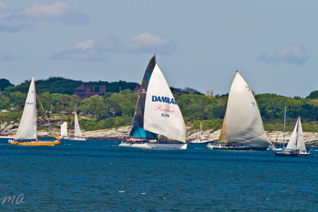 Enlarge photo 586