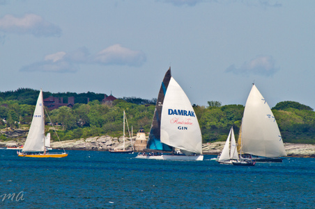 Enlarge photo 587