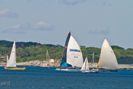 Enlarge photo 588