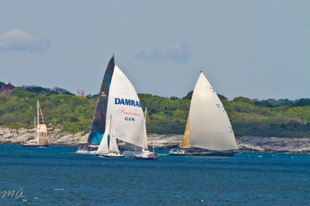 Enlarge photo 589