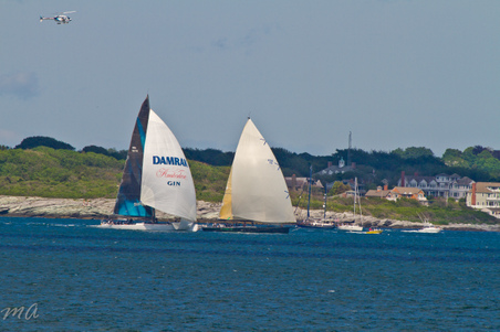 Enlarge photo 594