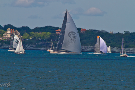Enlarge photo 601