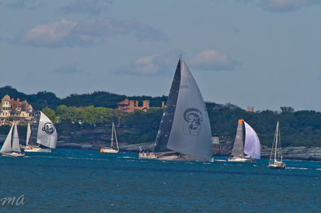 Enlarge photo 602