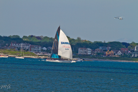 Enlarge photo 603