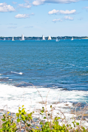Enlarge photo 607