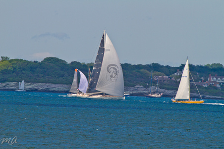 Enlarge photo 609