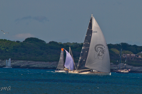 Enlarge photo 611
