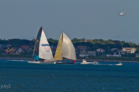 Enlarge photo 613
