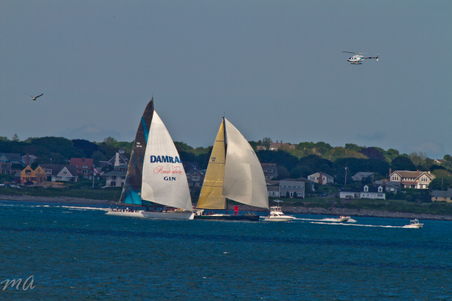 Enlarge photo 614