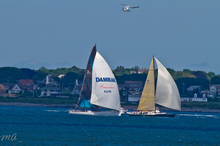 Enlarge photo 616