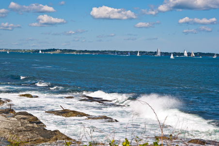 Enlarge photo 617