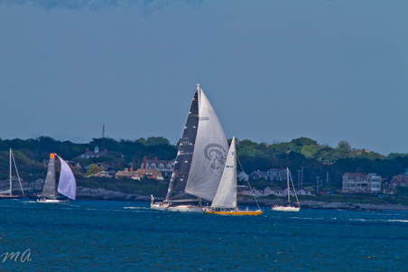 Enlarge photo 619