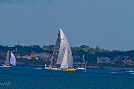 Enlarge photo 620