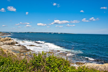 Enlarge photo 622