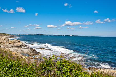 Enlarge photo 623