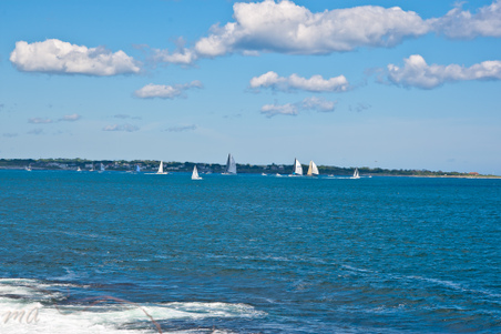 Enlarge photo 624