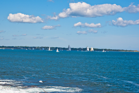 Enlarge photo 625