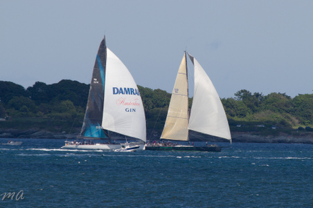 Enlarge photo 626