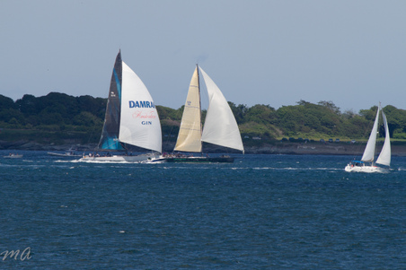 Enlarge photo 627