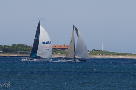 Enlarge photo 628