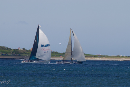 Enlarge photo 629