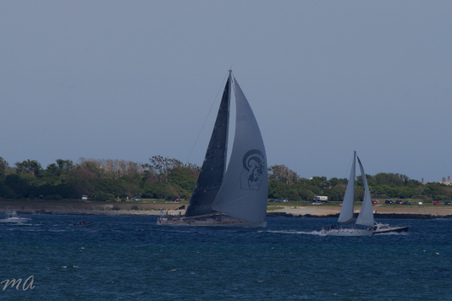 Enlarge photo 630