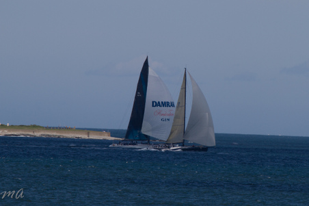 Enlarge photo 632