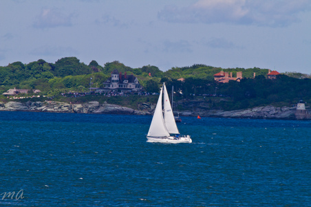 Enlarge photo 634
